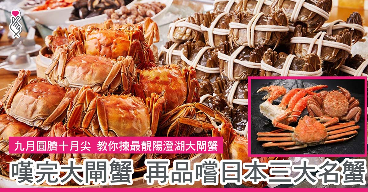九月圓臍十月尖 教你揀最靚陽澄湖大閘蟹 嘆完大閘蟹 再品嚐日本三大名蟹